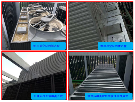 开云手机app官方手机版下载
技术